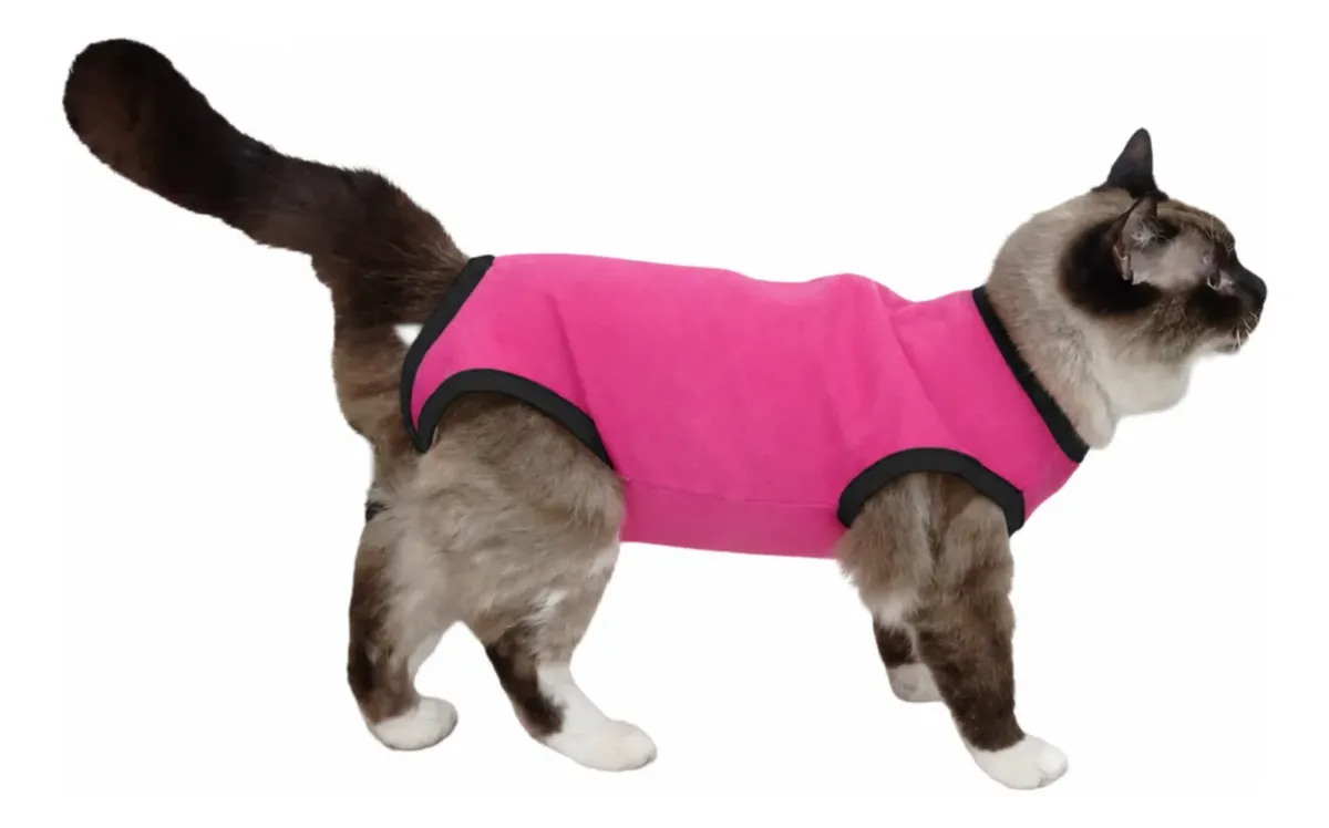 Roupa pós-cirúrgica para felinos fêmeas